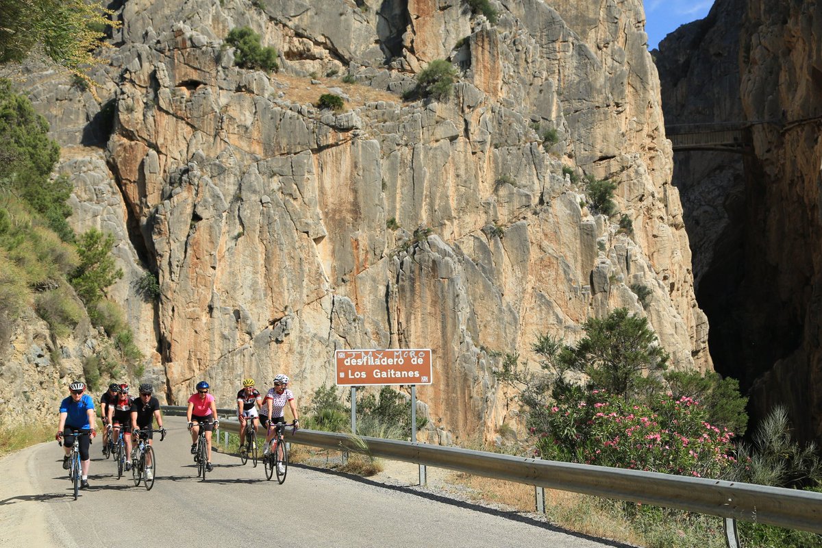 jane rees tweet media