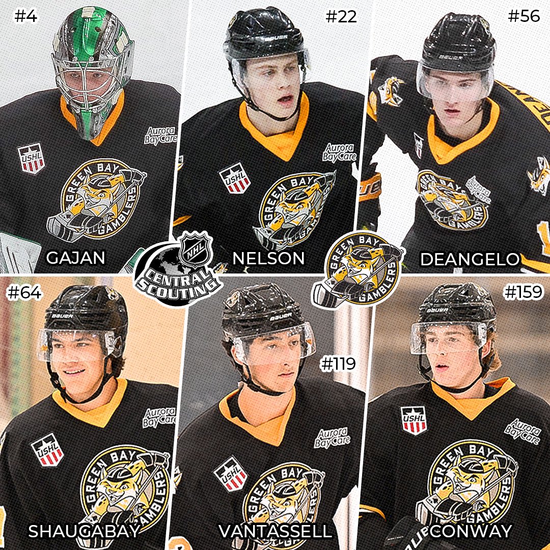 Green Bay Gamblers tweet media