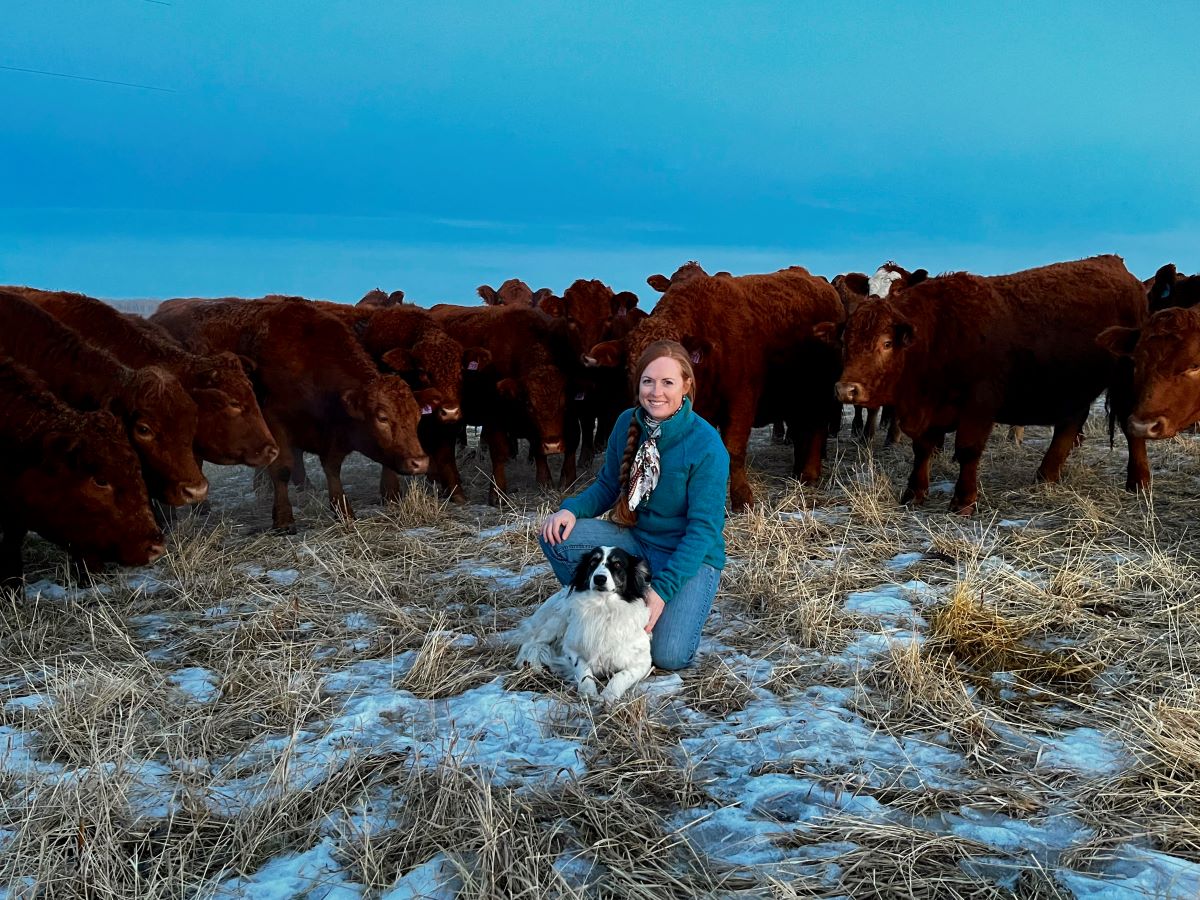 What’s the secret to wintering replacement females? Veterinarian <a href="/SmallVetBigCow/">Elizabeth Homerosky</a> takes us through research on how to better prepare heifers for life in the herd: bit.ly/3GxU63C
Photo credit: Blue Rose Simmentals