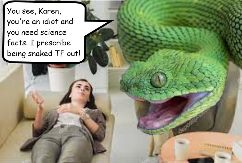 random_snakes's tweet photo. #DumbDMs
Some Person: Your account is ridiculous.
Me: ๐ค๐คก๐ฟ๐คช๐๐ Ya think? https://t.co/CtH445X7ZP