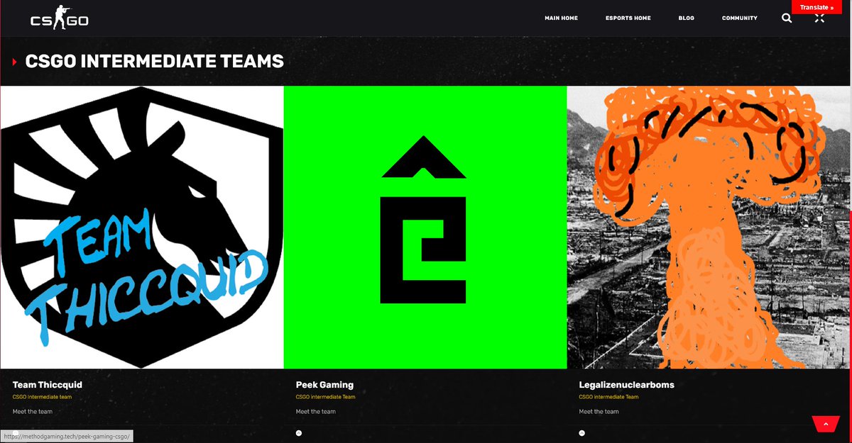 DaniGLcs's tweet image. Well now any open, IM or main team has his chance to get it&apos;s own team page through methodgaming.tech