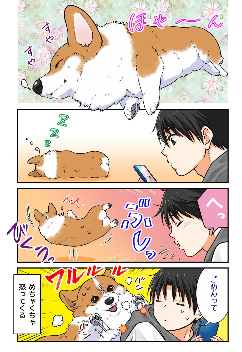 安眠妨害された犬 