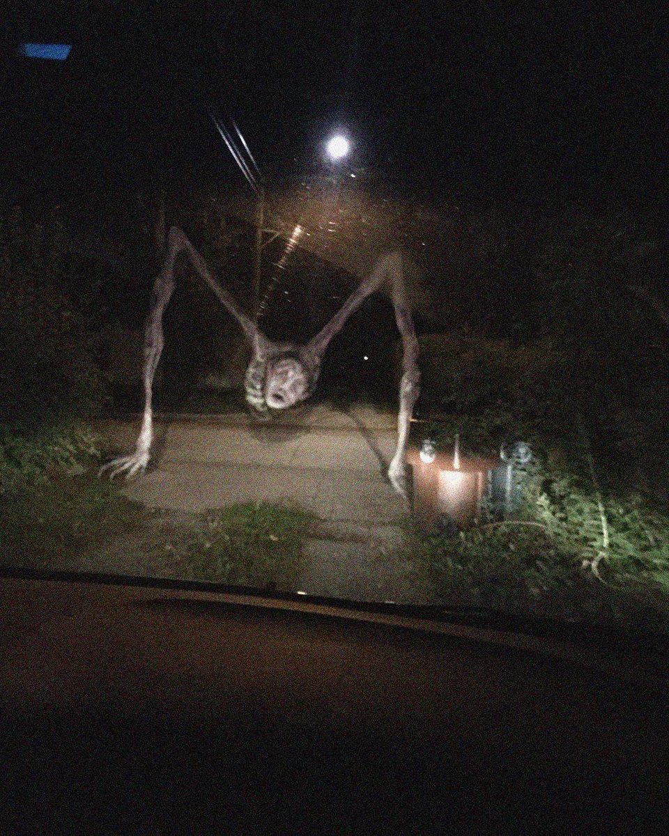 MyDad'sPetSperm tweet media