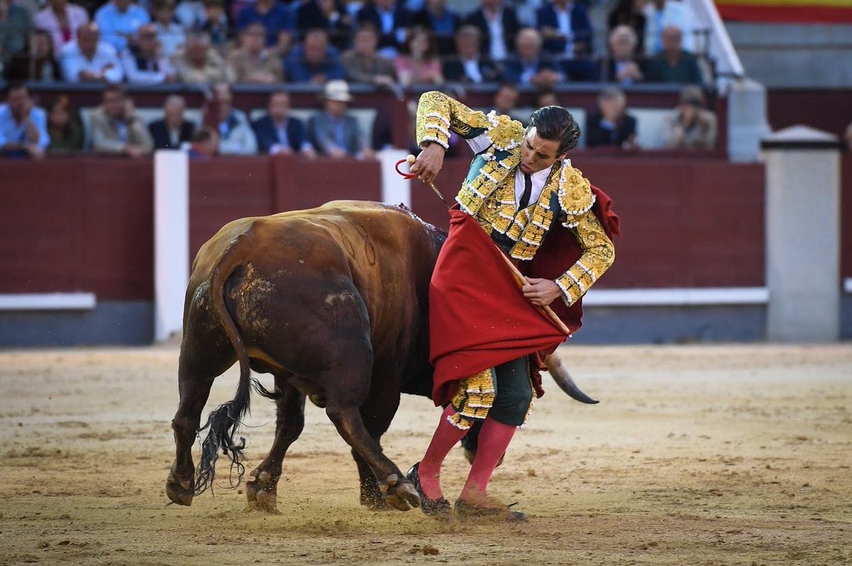 pablomca300's tweet photo. No está la miel hecha para la boca del asno https://t.co/3pe8cH3MKg