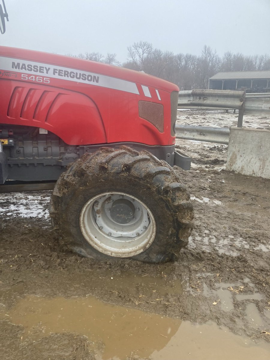 KornKattle tweet media