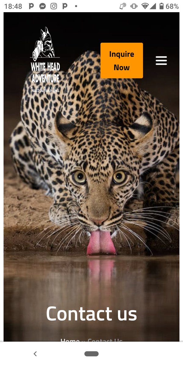 Unrare to find only Uganda has it.
whiteheadadventureafrica.com