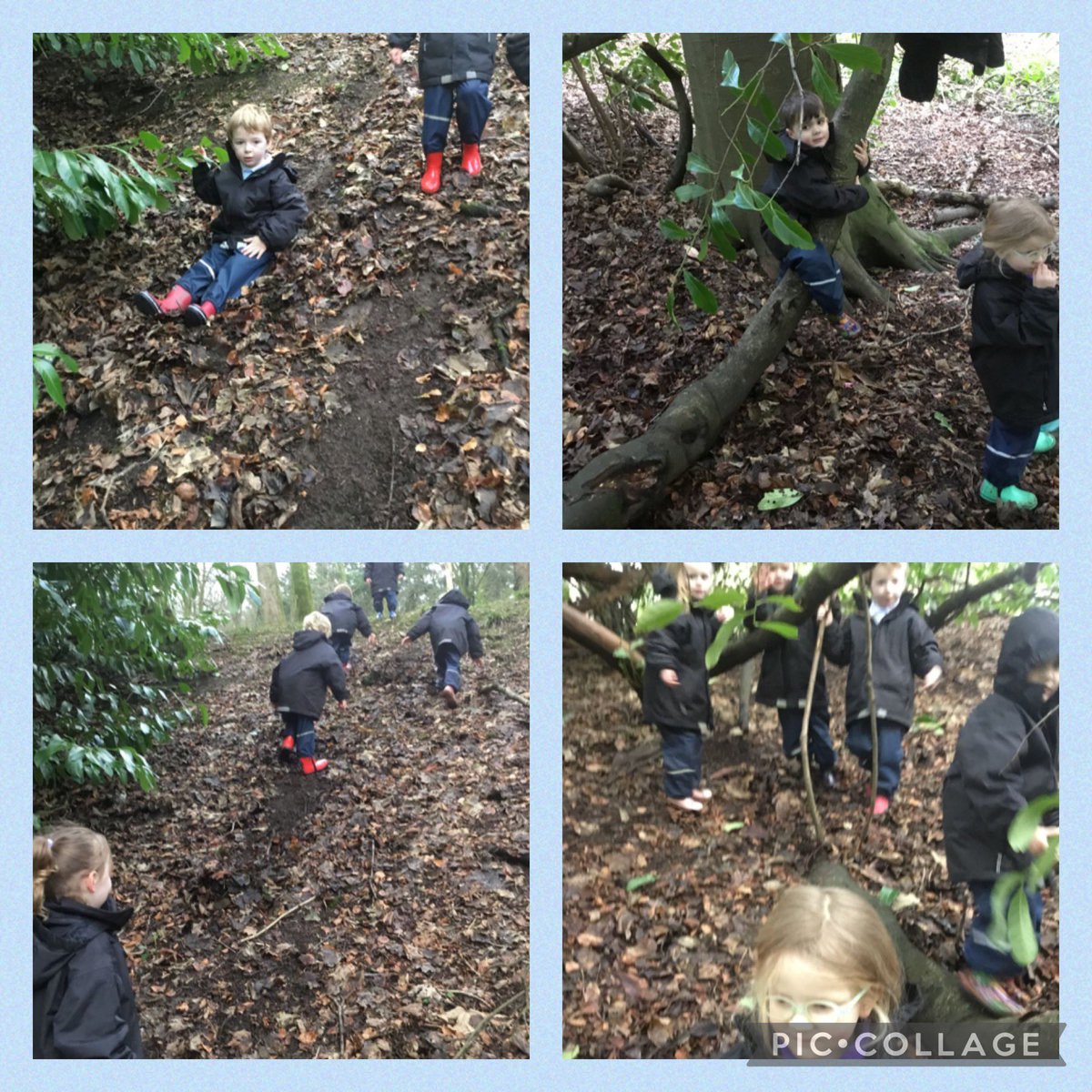 James Hamilton Early Childhood Centre tweet media