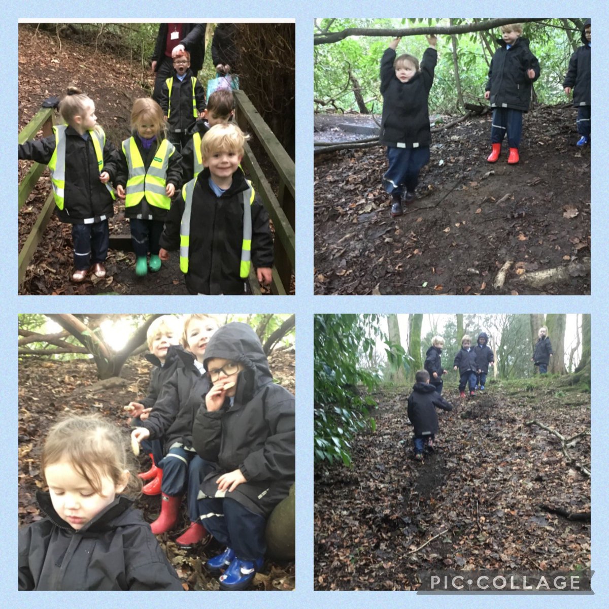 James Hamilton Early Childhood Centre tweet media