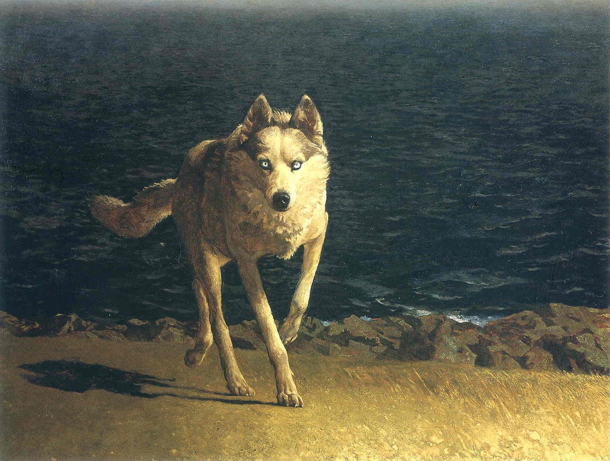 Wolf Dog, 1976 #contemporaryrealism #jamiewyeth wikiart.org/en/jamie-wyeth…