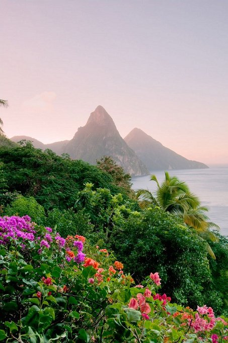 Travitinerary's tweet photo. St Lucia 💙💜 https://t.co/ZIfC9iNXm2