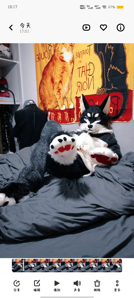 Garfi_LYL's tweet photo. *开启床铺共享
#handmade #animalmask #maskwolf #fantastic #mask #furrymask #furryart #furry #maskanimal #maskhandmade #fursuitmaker #fursuit #fursuitfriday
#handmade #handmade #works #Realisticmask #fursuiteveryday
#coolfurry #coolmask #awesome https://t.co/OY0Rmf0LWu