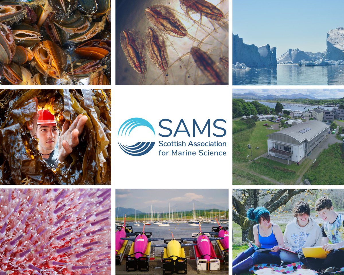 Scottish Association for Marine Science (@samsoceannews) on Twitter photo 📢PhDs galore!
We have a number of funded #PhD opportunities available - through the <a href="/NERCscience/">Natural Environment Research Council</a> SUPER Doctoral Training Partnership - covering topics as diverse as marine biology, the #Arctic, deep sea & marine robotics.
D/L Jan 30th. Pls share widely!
sams.ac.uk/study/postgrad… 📢PhDs galore!
We have a number of funded #PhD opportunities available - through the <a href="/NERCscience/">Natural Environment Research Council</a> SUPER Doctoral Training Partnership - covering topics as diverse as marine biology, the #Arctic, deep sea & marine robotics.
D/L Jan 30th. Pls share widely!
sams.ac.uk/study/postgrad…