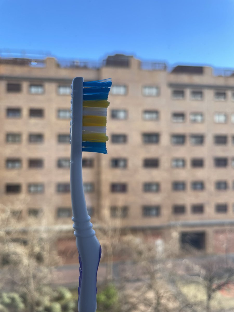 BoltXtrm's tweet photo. Jamás olvidaré el día en el que @IvaanCuesta sacrificó su vida en Barcelona por comprarme este cepillo de dientes.😔 https://t.co/6APmOETwki