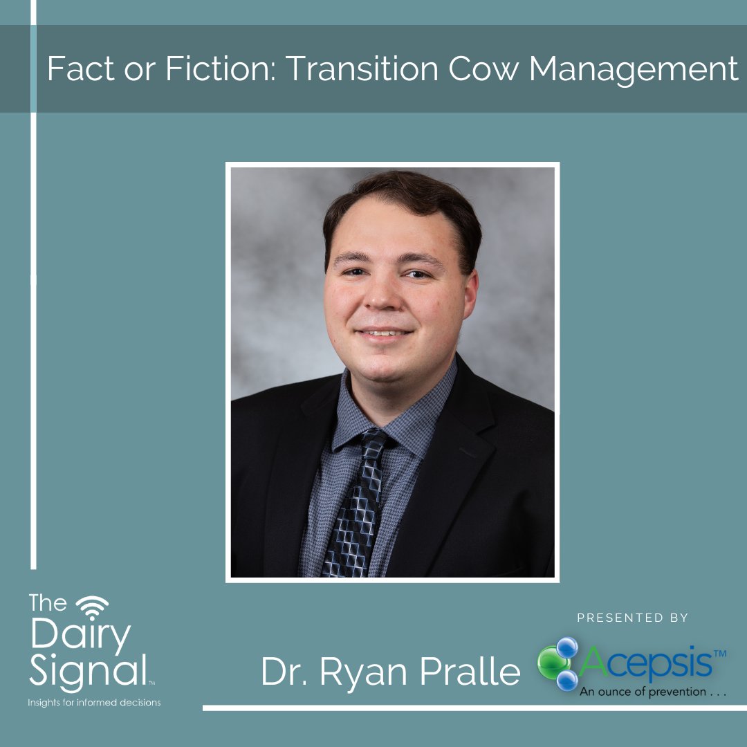 DairySignal's tweet photo. Dr. Ryan Pralle joins us for a round of "fact or fiction" today on #TheDairySignal. Tune in for an interactive discussion on some of the most common assumptions about #cows during their #transitionperiod.
To watch this episode live or recorded, visit https://t.co/0o3OCHkW8z. https://t.co/iWShdLTuRc