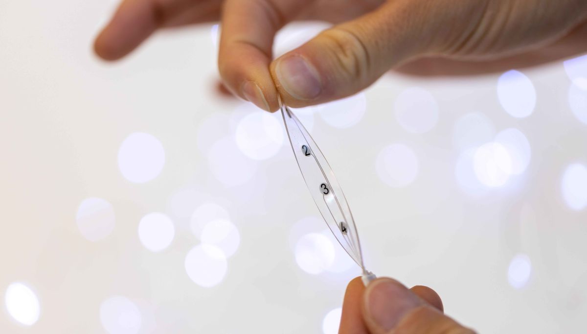 EPFL_Park's tweet image. EPFL startup Neurosoft Bioelectronics closer to clinical studies. Learn more: bit.ly/3knYLxj via @startuptickerCH #Swisstech #bioelectronics cc @CampusBiotech @BioAlps @GeneusCH