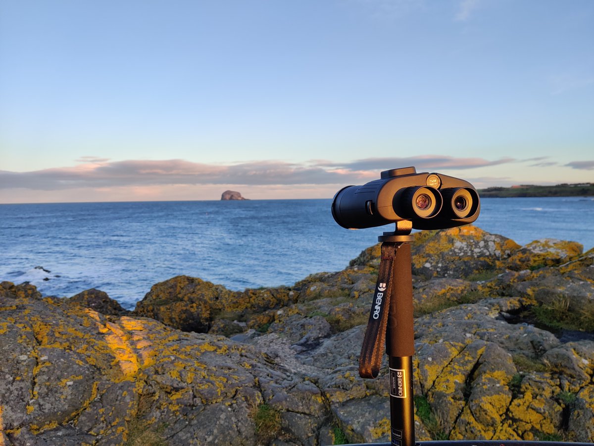 SeabirdCentre's tweet photo. The chilly weather hasn’t stopped us shorewatching!
We didn’t spot any fins, but we did see some brilliant coastal birds.
Find out more about @whalesorg #shorewatch & how to get involved in surveying whales and dolphins around Scotland ⬇️
https://t.co/zi5RnKHZA6 https://t.co/iklqVd2Ad0