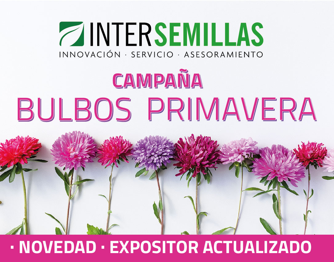 intersemillas1's tweet photo. 📣EMPIEZA LA CAMPAÑA DE BULBOS DE PRIMAVERA 2023🌷🌷
!Haz tu previsión¡...para tenerlos DISPONIBLES EN MARZO.
Más info en catálogo GARDEN pág. 57:
https://t.co/fXnKR6T0ts
#bulbos #BulbosPrimavera #rizomas #floración #cormos https://t.co/XkmNp9kt0k