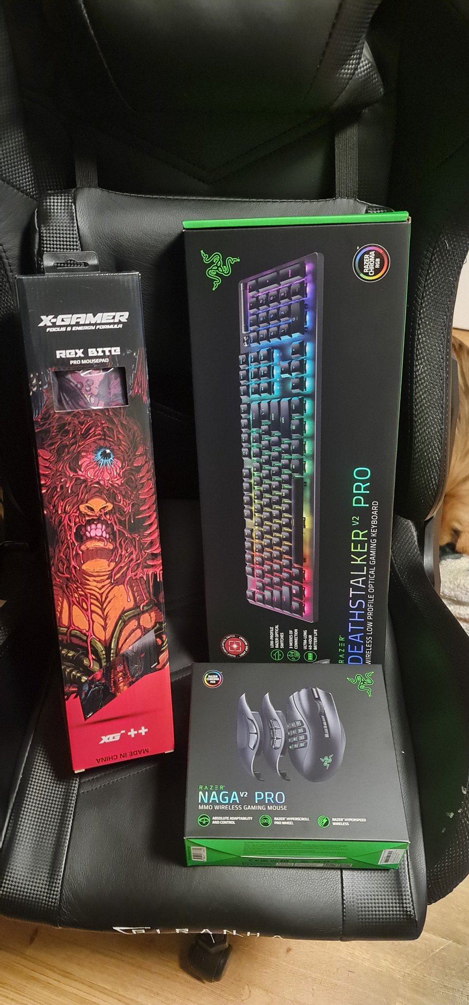 R Λ Z Ξ R on Twitter "Ultimate fade and scratch resistance—the Razer DeathStalker V2 Pro