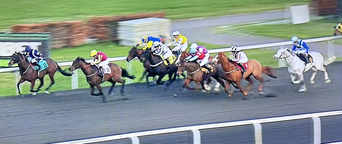 amajox's tweet photo. Congratulations #champ #SimonWalker 🥇🏆WINS @kemptonparkrace @UnibetRacing #SenseOfSecurity @GBakerRacing denies #MeganWingrove 🥈@patmillman 🥉#12ran #cosily #topride #topjock 👌👏👏👏 https://t.co/dJ2Vvmimjd