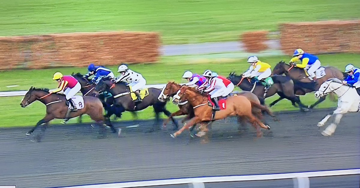 amajox's tweet photo. Congratulations #champ #SimonWalker 🥇🏆WINS @kemptonparkrace @UnibetRacing #SenseOfSecurity @GBakerRacing denies #MeganWingrove 🥈@patmillman 🥉#12ran #cosily #topride #topjock 👌👏👏👏 https://t.co/dJ2Vvmimjd
