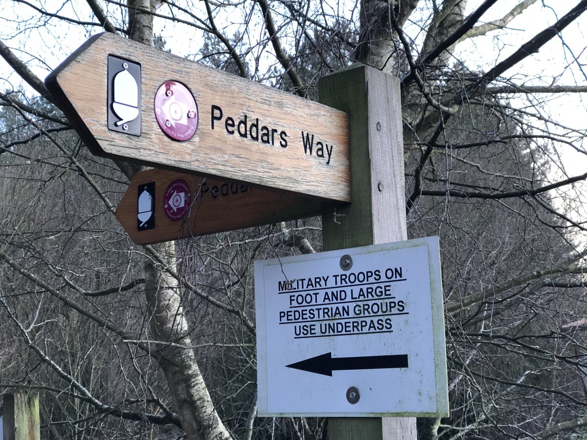 Even after two millennia this stretch of the #Peddarsway has the same use as when the Roman legions marched along here. #Norfolk