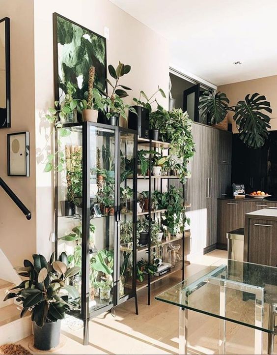 Urban Plant Home tweet media