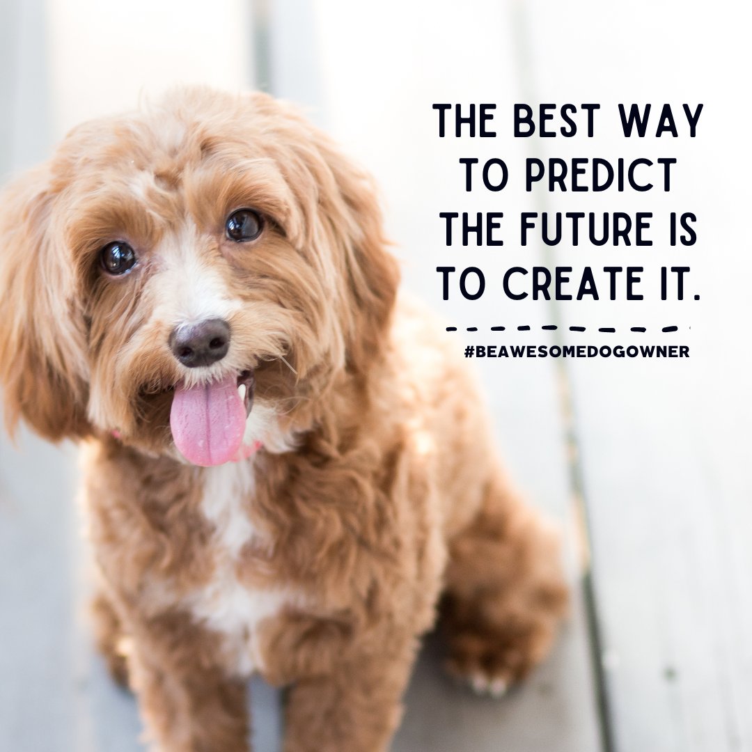 NKeskievari's tweet photo. When getting a puppy, we dream of the perfect adult dog the puppy will be.
Hear this! You need to work for that dream dog. You need to start educating your puppy the day one, step by step.
It requires a lot of work - from you!
#dogs #dogtraining #newpuppy #dogtrainingtip https://t.co/9NVavn8X9G