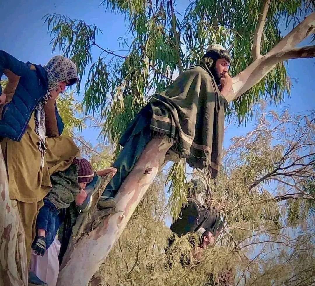 Salem Wahdat tweet media