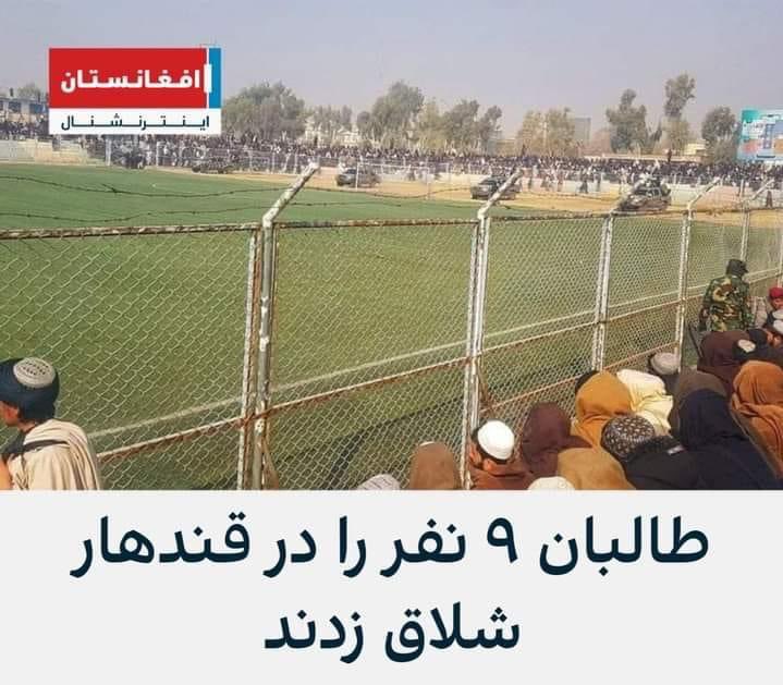 Salem Wahdat tweet media