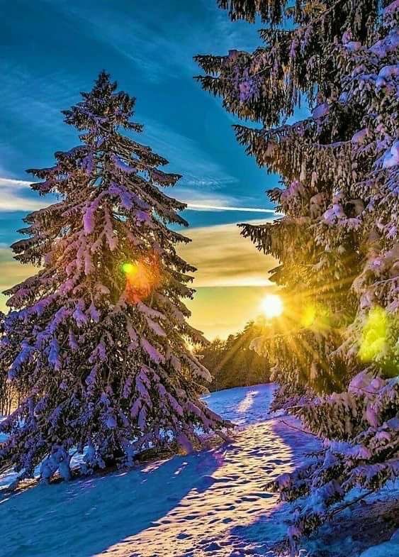 skkweller's tweet photo. Good morning dear friends, Joie De Vivre! The Best Things In Life are free! ☀️☕️🫶🙏 https://t.co/COqHG9gwjn