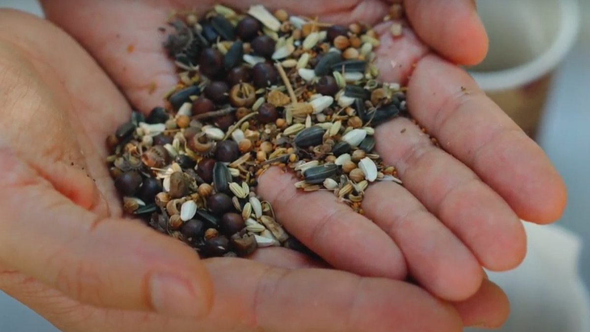 🌱¿Sabes cuáles son los beneficios del uso de la #SemillasNativas, en ocasiones (injustamente) llamadas malas hierbas, en agricultura?

👉Se adaptan al lugar, suelo y clima
👉Permiten una buena cobertura vegetal en cultivos perennes: huertos, viñedos, olivares

Te contamos +🧵