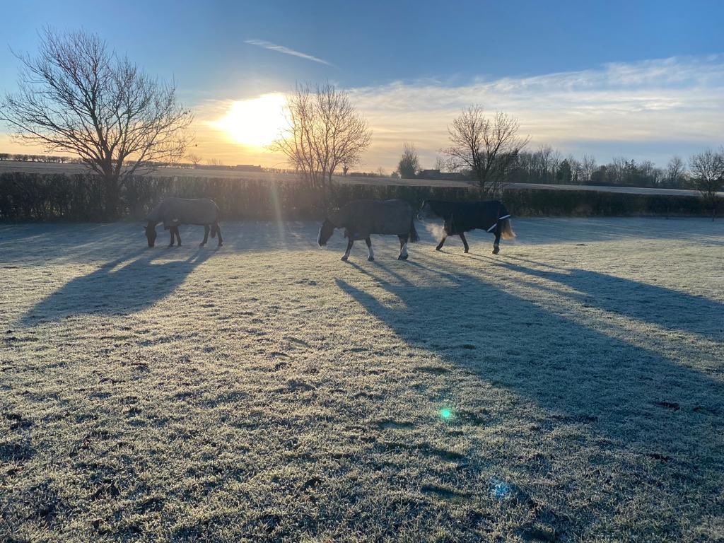 A beautiful new and bright day here at <a href="/TSoCEquine/">The Seeds of Change</a> The Acorn Centre looking magical in the frosty weather