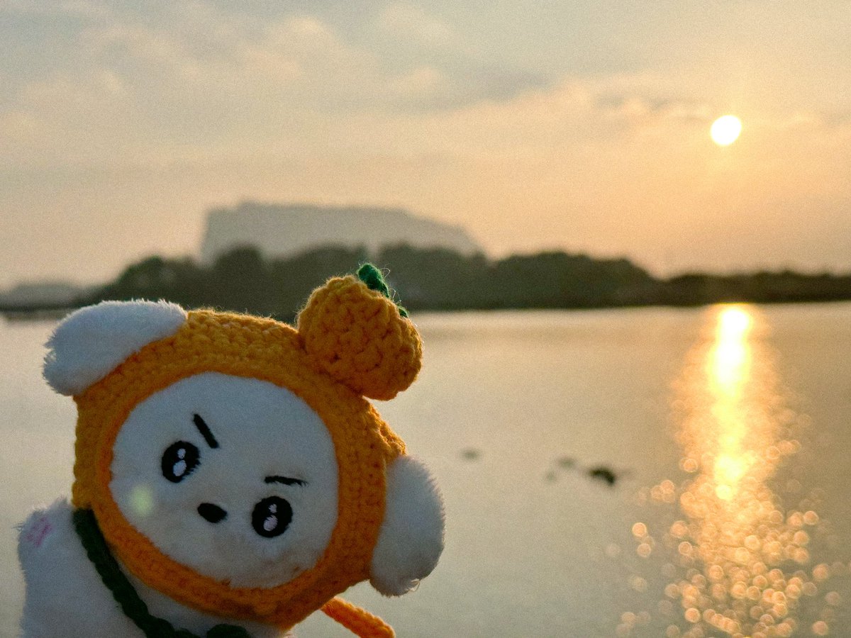_917_m's tweet photo. 깨뭉 제주 투어 https://t.co/EhmWpnTz46