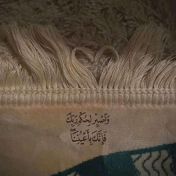 HananFakhry6's tweet photo. #صورة_ملف_شخصي_جديدة https://t.co/fB51BgNsip