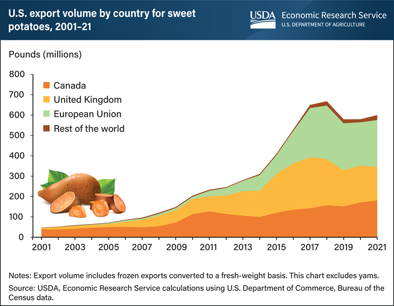 FasEurope's tweet photo. U.S. @Sweet_Taters are enjoyed around the world, export data show. The United States was the top global exporter, by volume, of sweet potatoes in 2020. See @USDA_ERS' full report: https://t.co/1hp0TyUkWP
@USDAForeignAg #USDAtrade https://t.co/Z8uAfwTzRQ