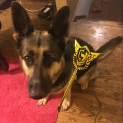 313naite's tweet photo. #NewProfilePic https://t.co/UednsAzb9a