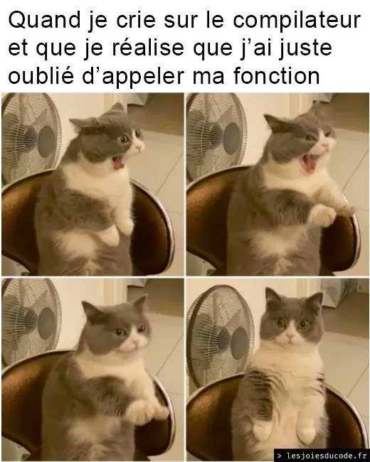 Oh mince non rien 😐 lesjoiesducode.fr/crie-compilate…