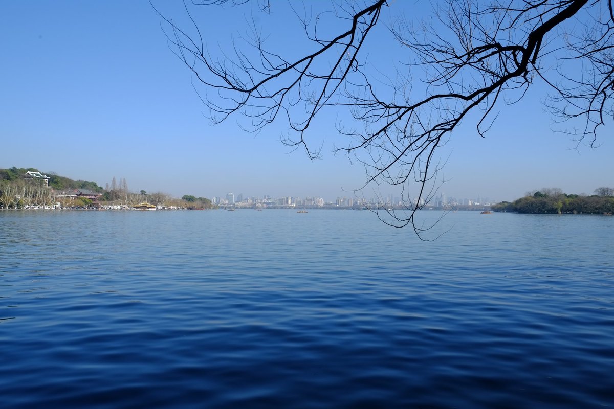 dyson (@superstringsdys) on Twitter photo 