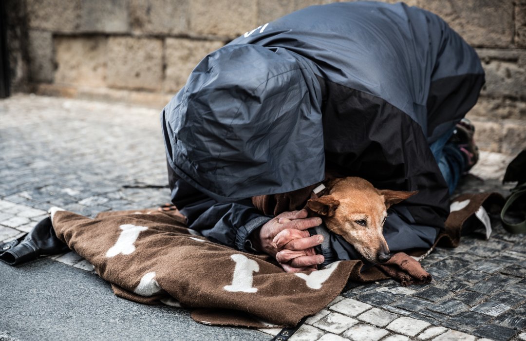 caesgatos's tweet image. Profissionais comentam vínculo afetivo entre animais e pessoas em situação de rua. “O ser humano em vulnerabilidade está apenas preocupado com o bem-estar do pet&quot;, afirma psicóloga 💬 shortest.link/dosP #cãesegatos #situaçãoderua #tutor #cão #pets #saúdemental #vínculo