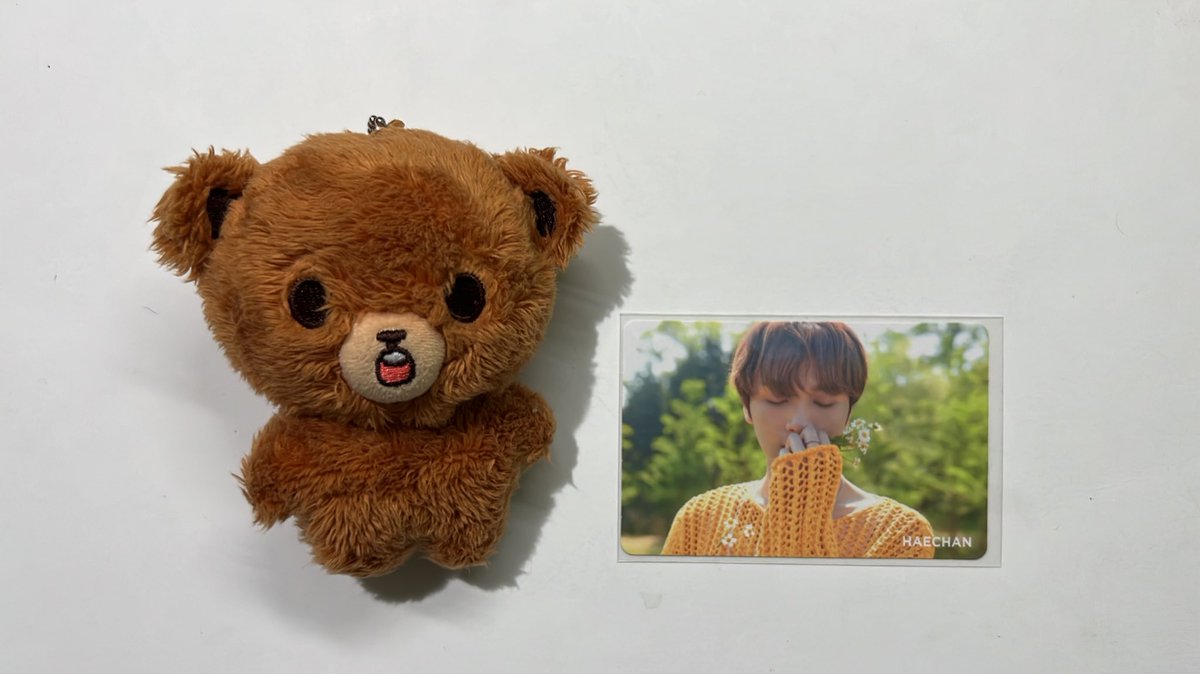 ꒰ wts lfb ph ꒱  — #niceyygrocery

Haechan chamomile gomdo lee doll
₱1700/ set

— clean
— onhand
— dm to claim
help rt po thank you 🫶