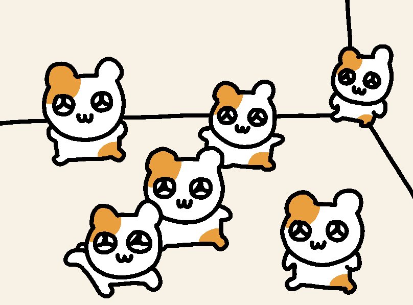 라짱 tweet media