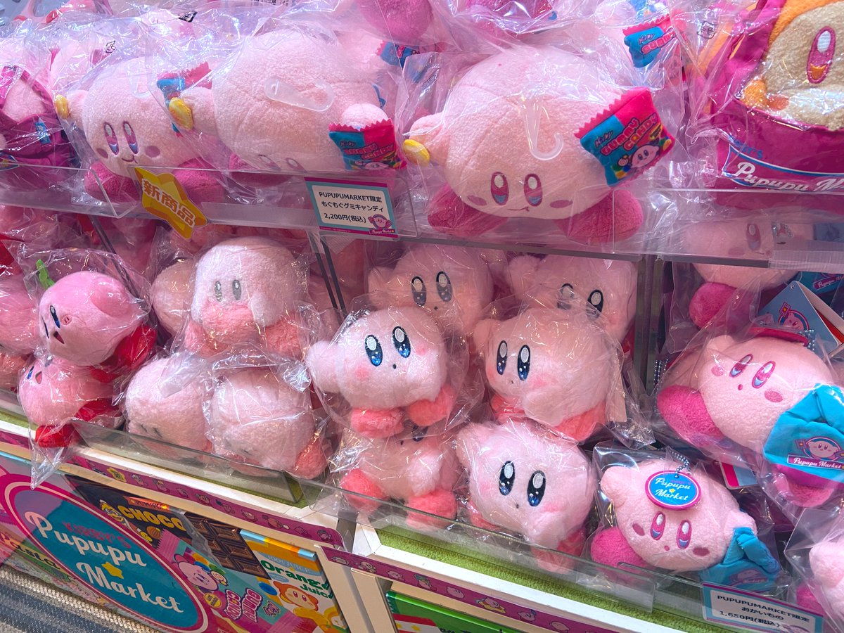 happy_toromix's tweet photo. 一際つぶらでキラキラな目でこちらを見つめるカーヴィー🥺

ちょっとそのキラキラ目は反則じゃない🥺 https://t.co/4Wr57b8bks