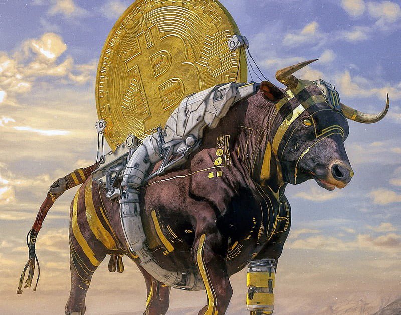 Madem kripto tarafı bugünlerde hareketli, sizlere uzun vade için aldığım ve alacağım coinlerin bir listesini paylaşmak istiyorum. 

Hepsinin çok değerli projeler olduğunu düşünüyor, bir sonraki boğa döneminde müthiş karlar bırakmasını bekliyorum.