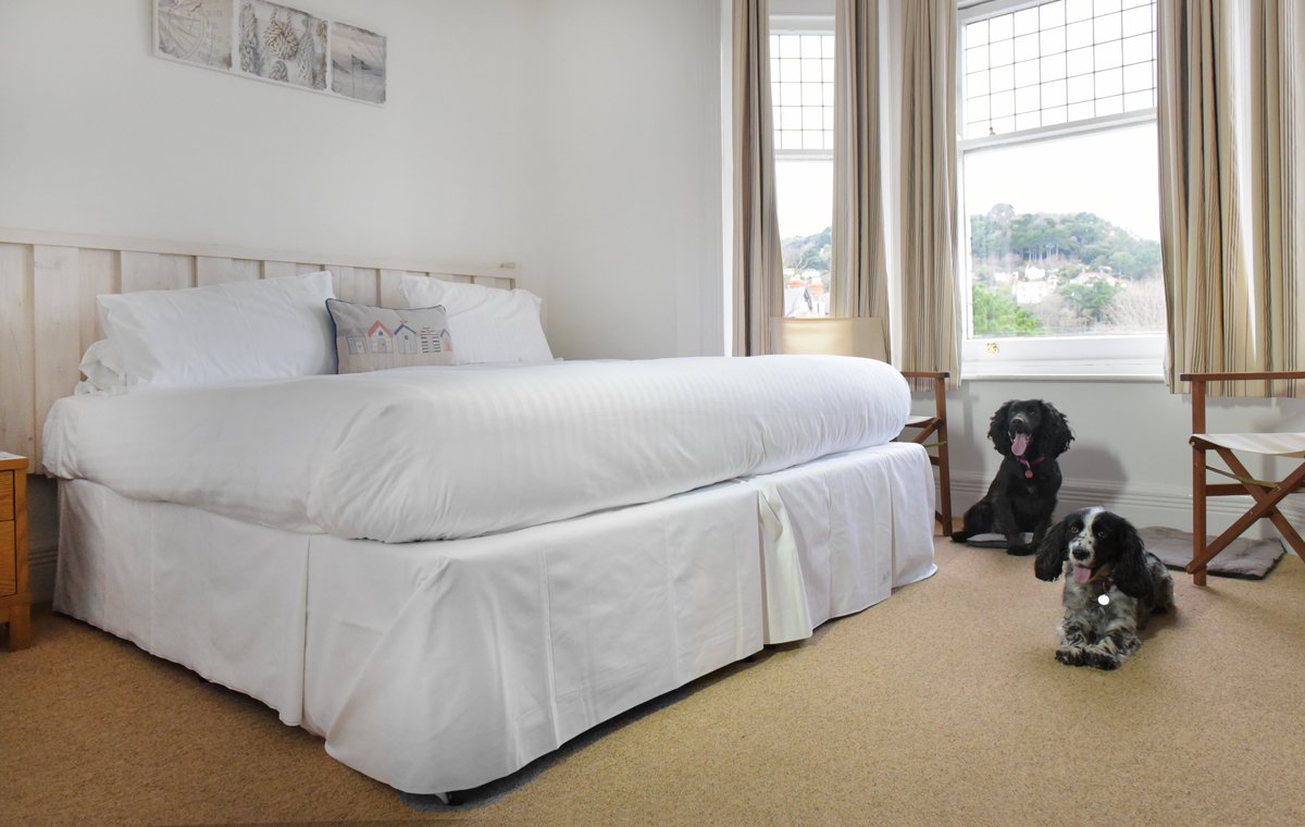 Its Travel Tuesday! 

Today we are celebrating Walk Your Dog Month! 

Did you know that our Beach Hotels are Dog Friendly? 
Our hotels offer beautiful walking routes and stunning beaches for you and your fury friends to enjoy! 

#ymca #dogfriendly #TravelTuesday