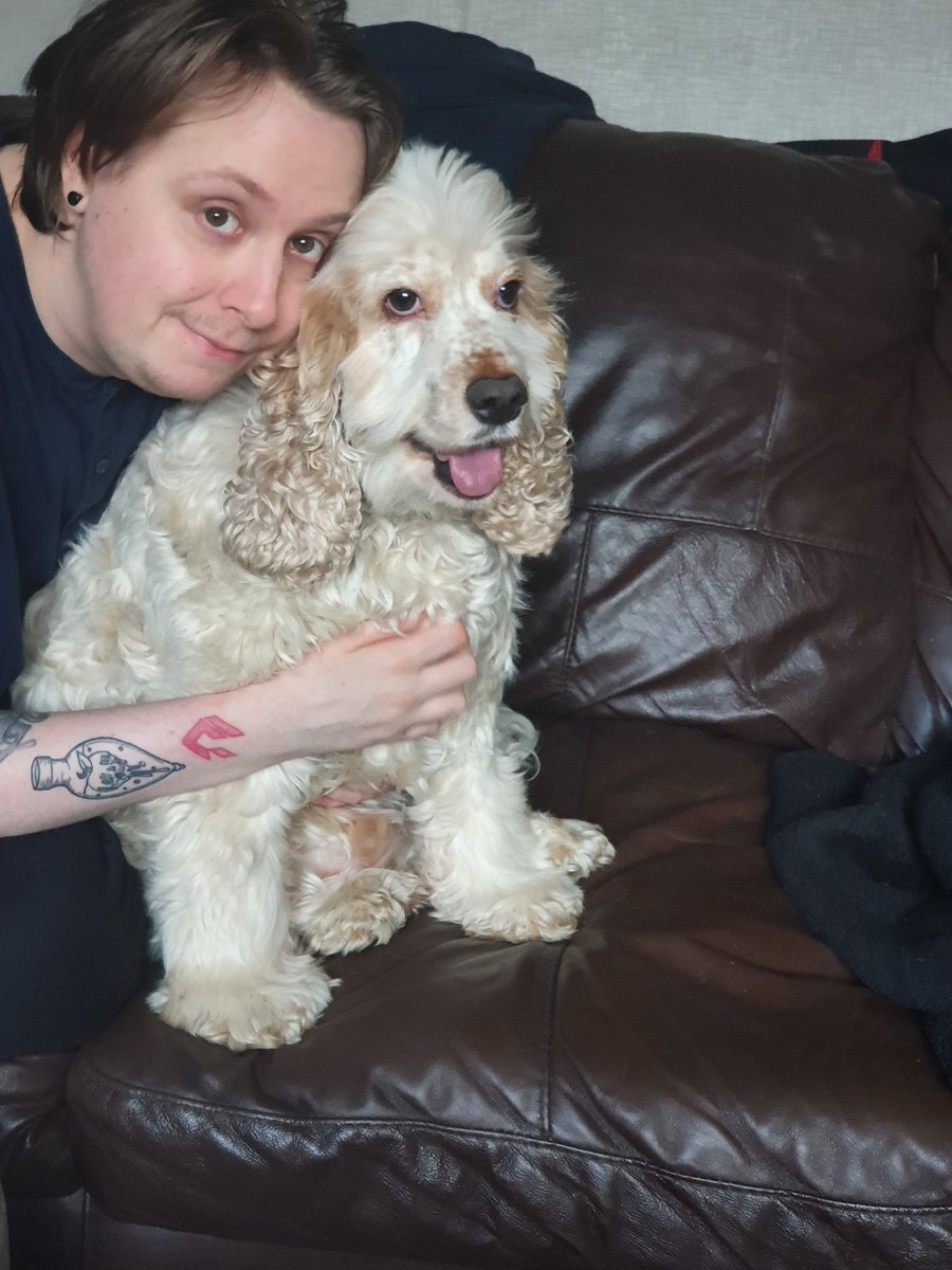 HarryCoco10's tweet photo. Me and our Coco-beanie iz habbing to goto THEHOUSEOFGROOMYDOOM....pictures taken by mummyhooman before be more laters https://t.co/jBTeYRmOLX