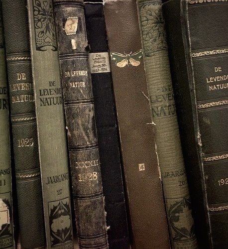 studygi93's tweet image. ⌕ #studytwt #studytwtbr  ೃ*〜☕

° emilly - 2007, ela/dela
˚ 2° Ano EM 
˚ foco &amp;amp; metas: rotina, disciplina, organização e estudos

☺︎︎ música, bts, doja cat, summer walker, jão, livros, animais, doces

♡ + ↻ = moots!