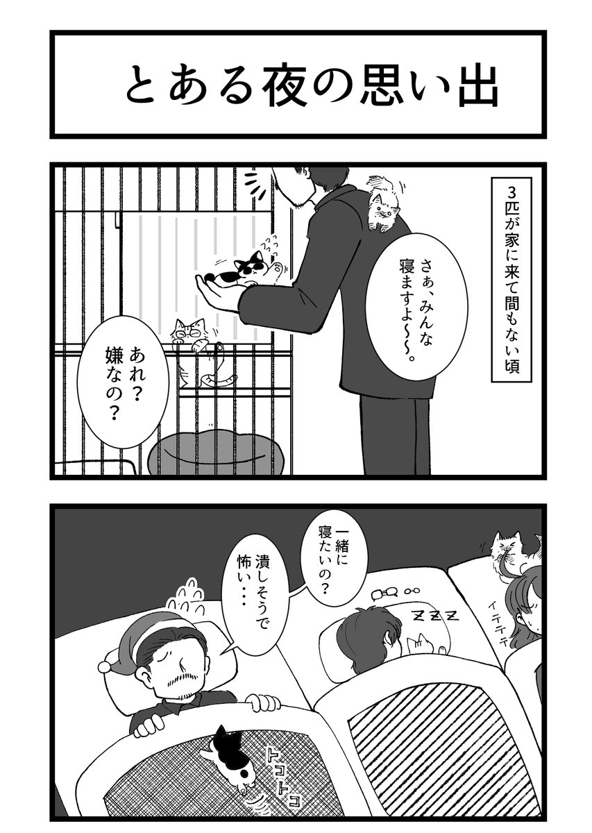 まだ子猫に飢えてるよ漫画。
猫が苦手とか嫌いな人の方が、猫を飼ったら可愛さでおかしくなる気がします。我が父や祖母がそう← 