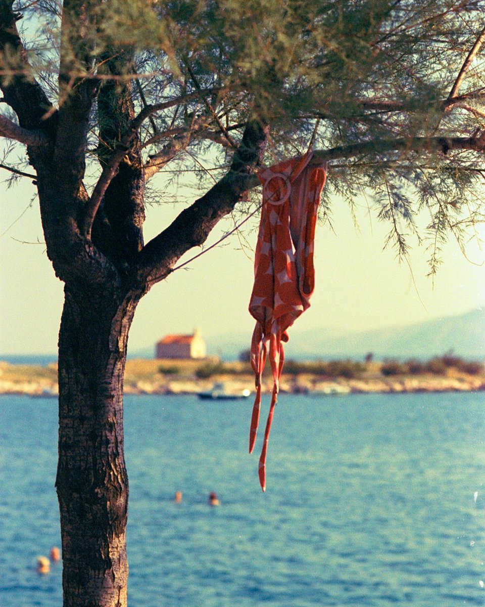 lightistic's tweet photo. summer on film https://t.co/SS4QJxmuLU