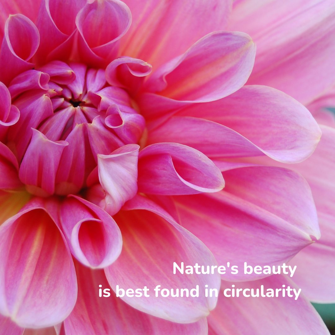 eha_eco's tweet photo. Nature's beauty is often found at its best in circular patterns. Lets make our life beautiful by switching from linear lifestyle of "make, use &amp; dispose" to circular lifestyle.

#renewablematerials ​#carbonfootprint #climatechange #climateaction #globalwarming #sustainableliving https://t.co/BldTyl6DKB