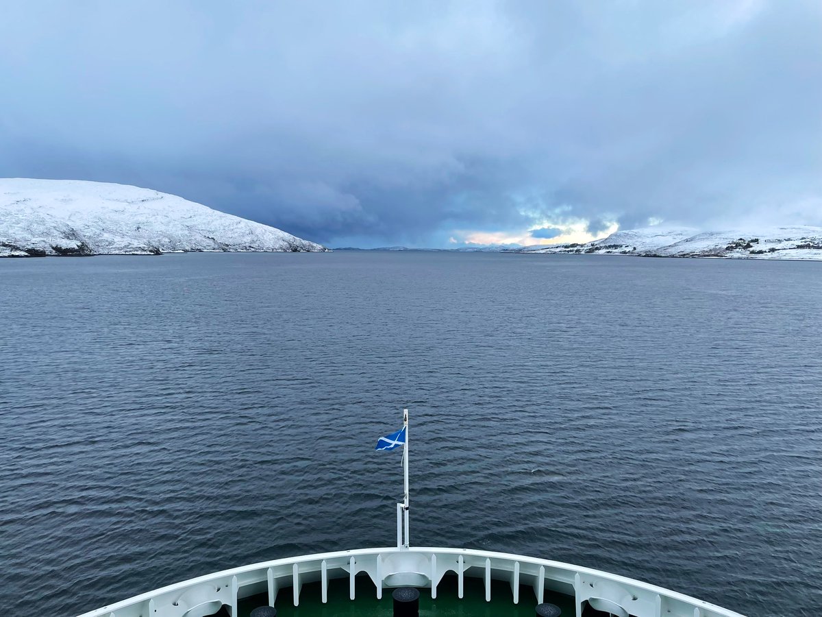 Lewis Mackenzie tweet media